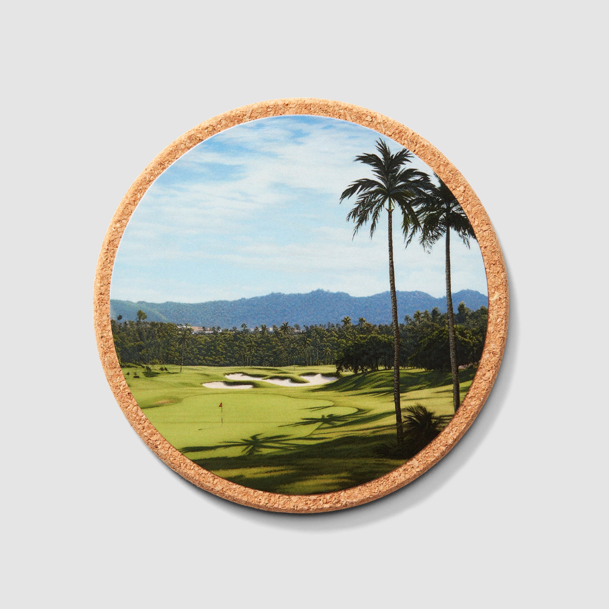 Destination Coasters