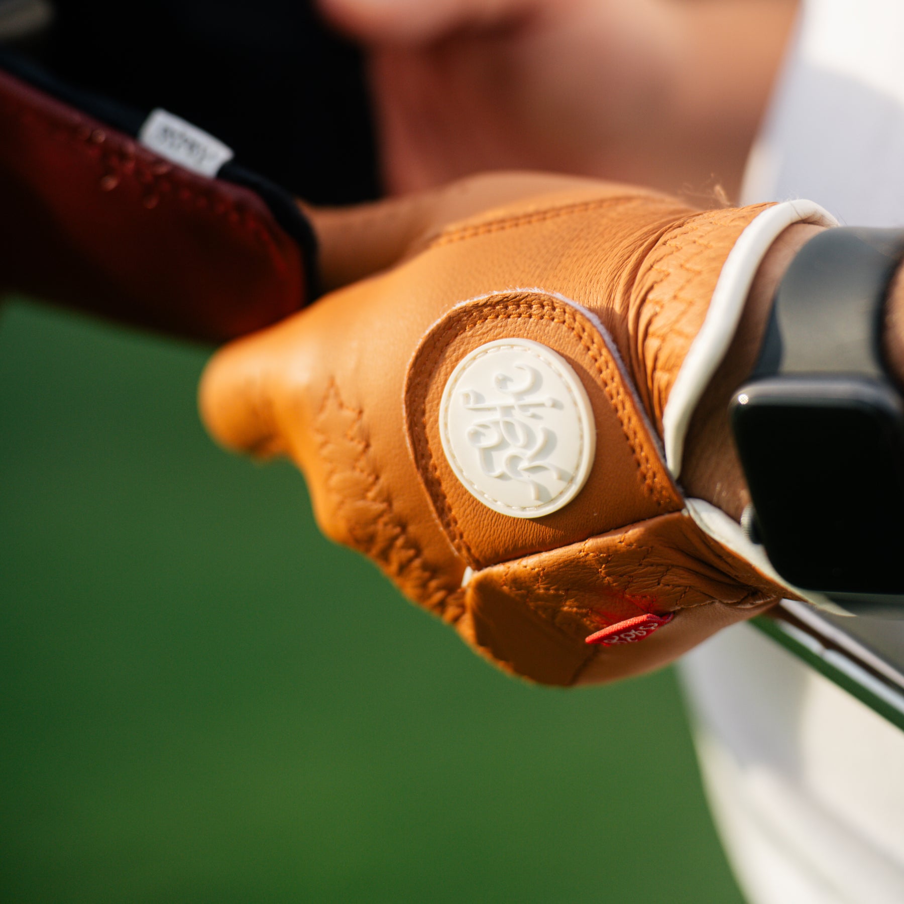 RGC CL-2 Golf Glove (Brown)